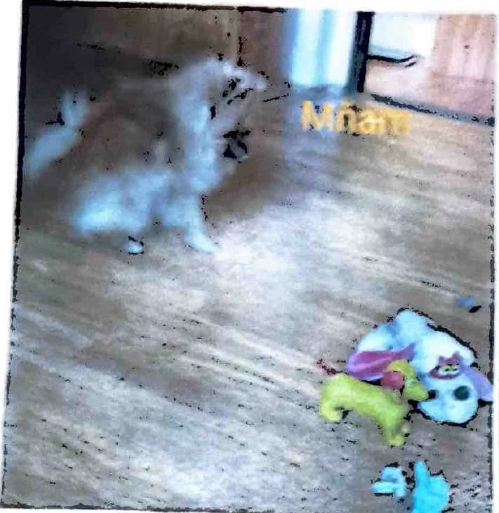 Grizzly sits near the doorway, a short distance from the toys.