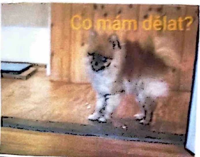 Grizzly stands at the doorway and looks back into the room.