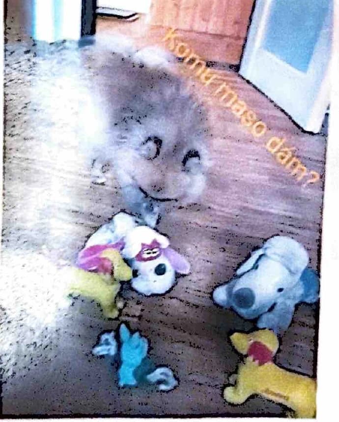 Grizzly lowers his nose toward the pink-and-white plush toy, with the other toys beside it.