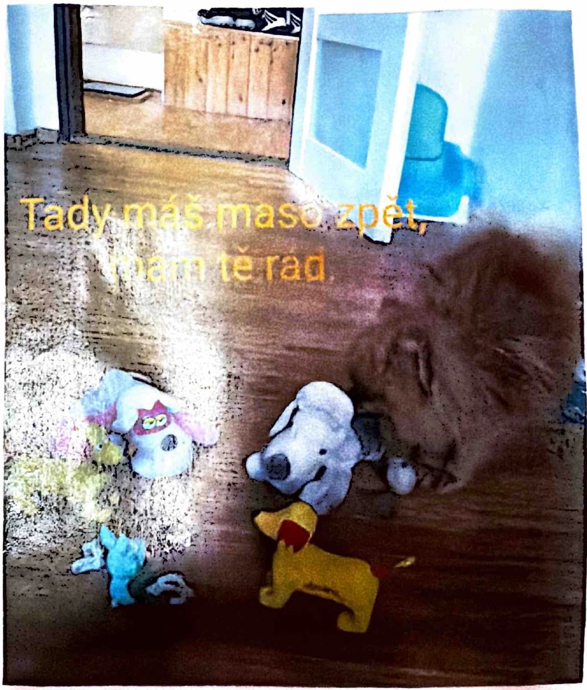 Grizzly bends over the gray plush dog in the middle of the toy gathering.